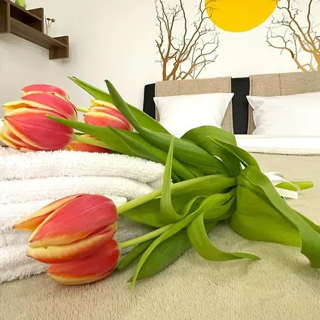 Apartment Sun In Old Town Center - Quiet & Cozy Brașov