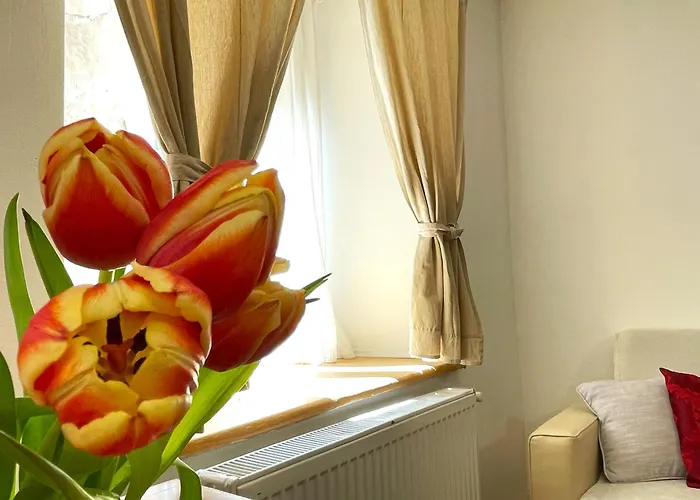 Apartman Sun In Old Town Center *